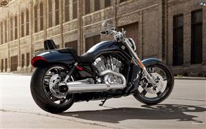 Harley Davidson